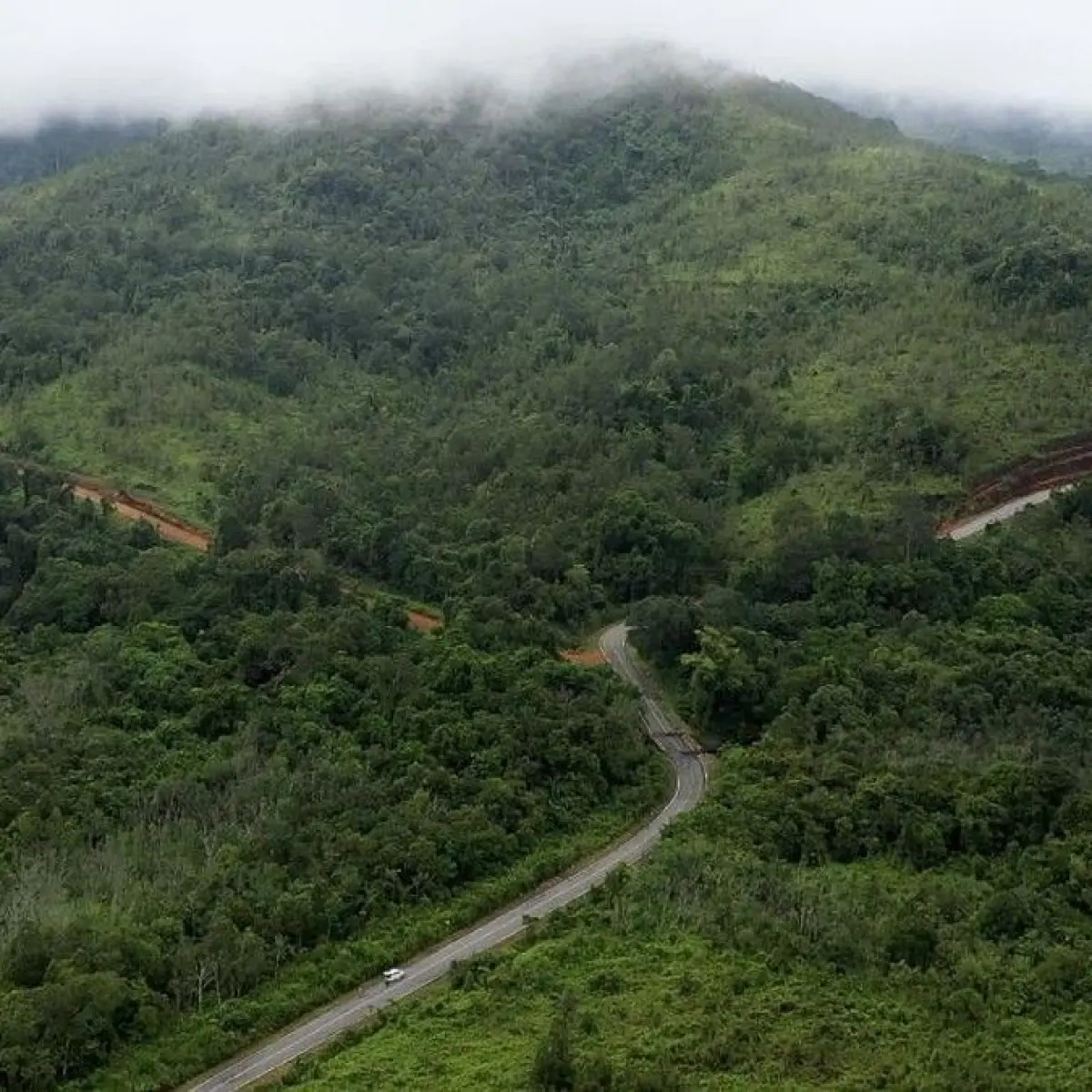 Kisah Heroik Lansia Bertahan Tiga Hari di Hutan Samboja Usai Terpisah dari Rombongan Kemah