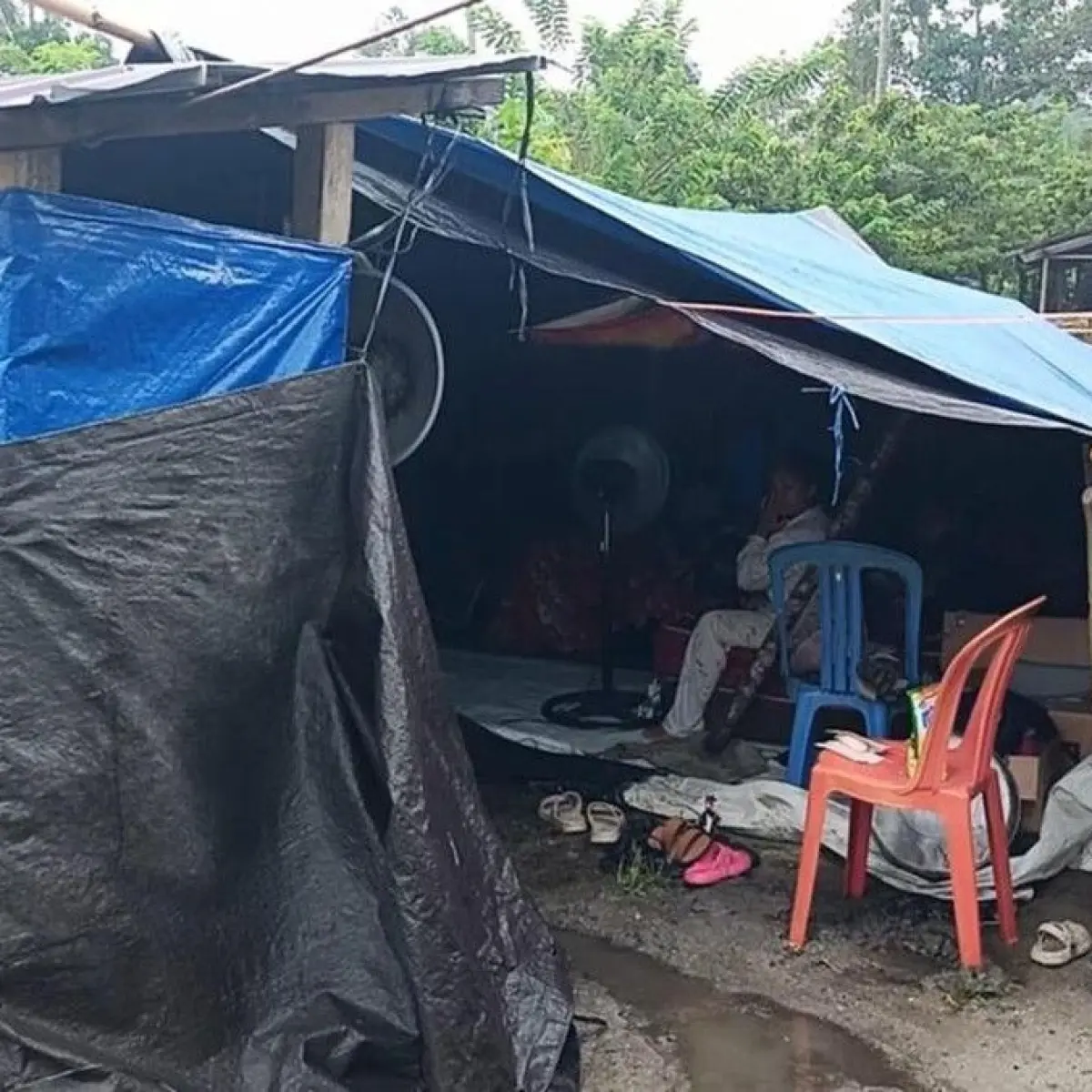 Logistik Darurat Mendesak: Korban Gempa Sigi Butuh Uluran Tenda dan Selimut Pasca Guncangan M6,7