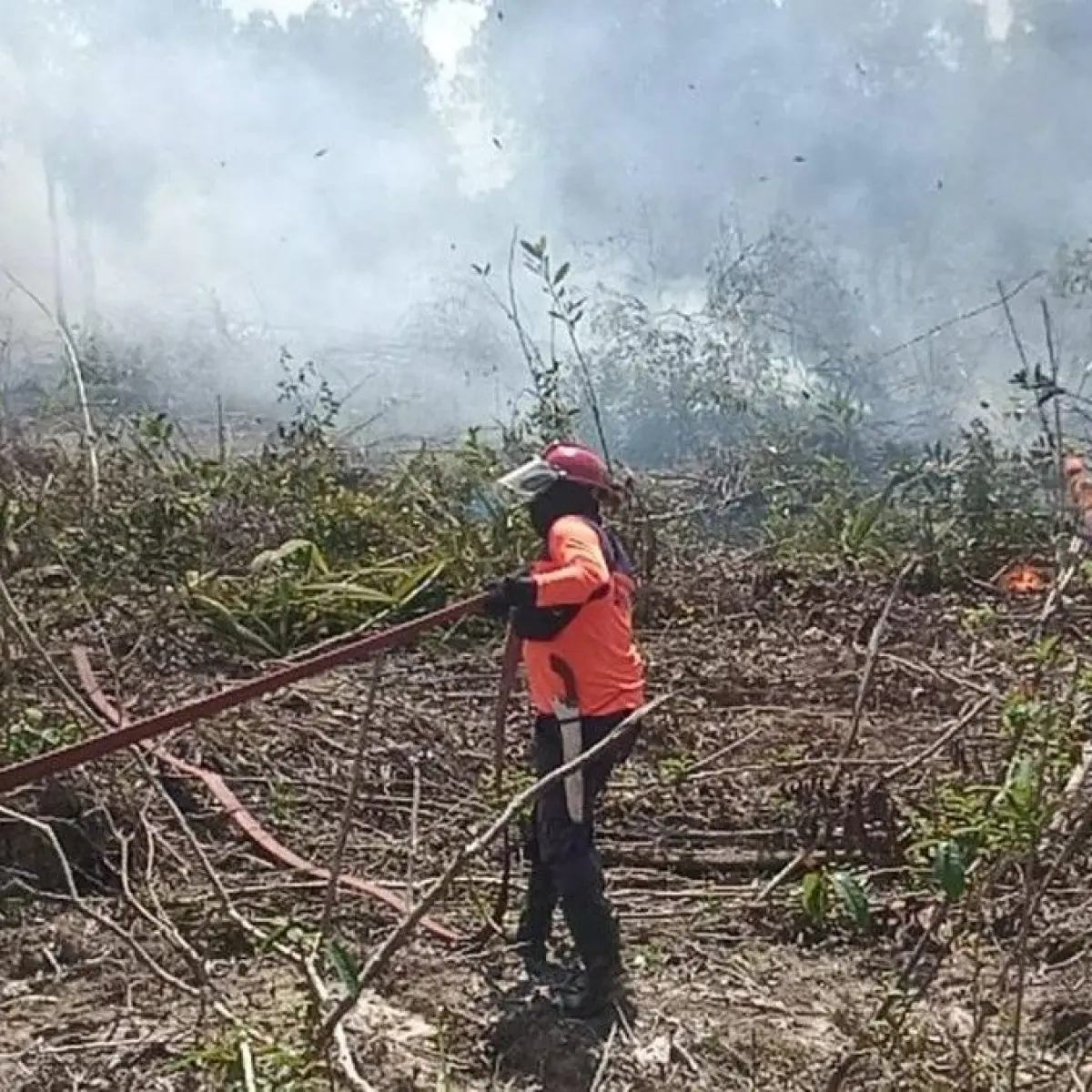 Kebakaran Lahan di Arut Selatan Padam Setelah Dikerahkan Tim Gabungan BPBD Kobar