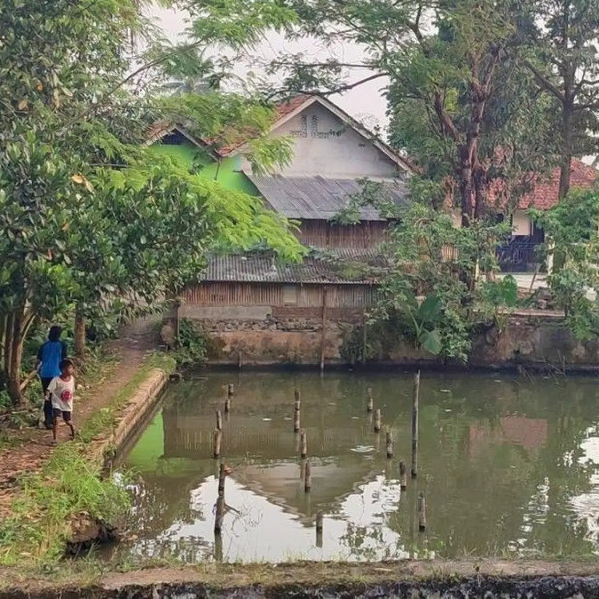 Tradisi Masa Kecil Melawan Gawai: Serunya Perburuan Layang-Layang Putus di Ciamis Saat Kemarau