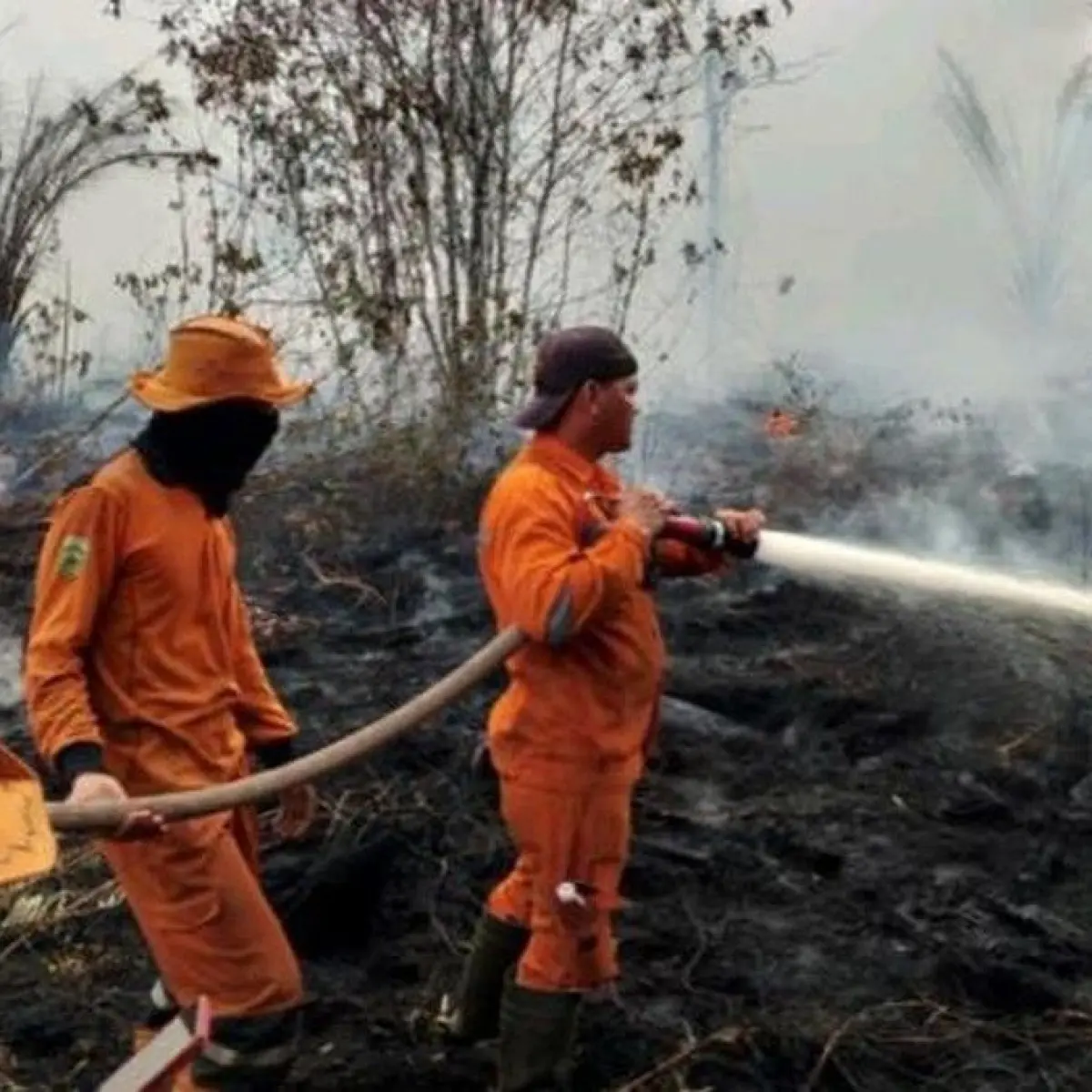 Waspada Puncak Kemarau, Karhutla di Sumsel Sudah Capai 165 Kejadian di 13 Wilayah
