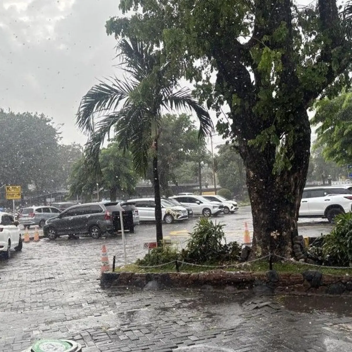 Misteri Hujan di Tengah Kemarau Surabaya dan Sidoarjo: BMKG Ungkap Dua Pemicu Utama