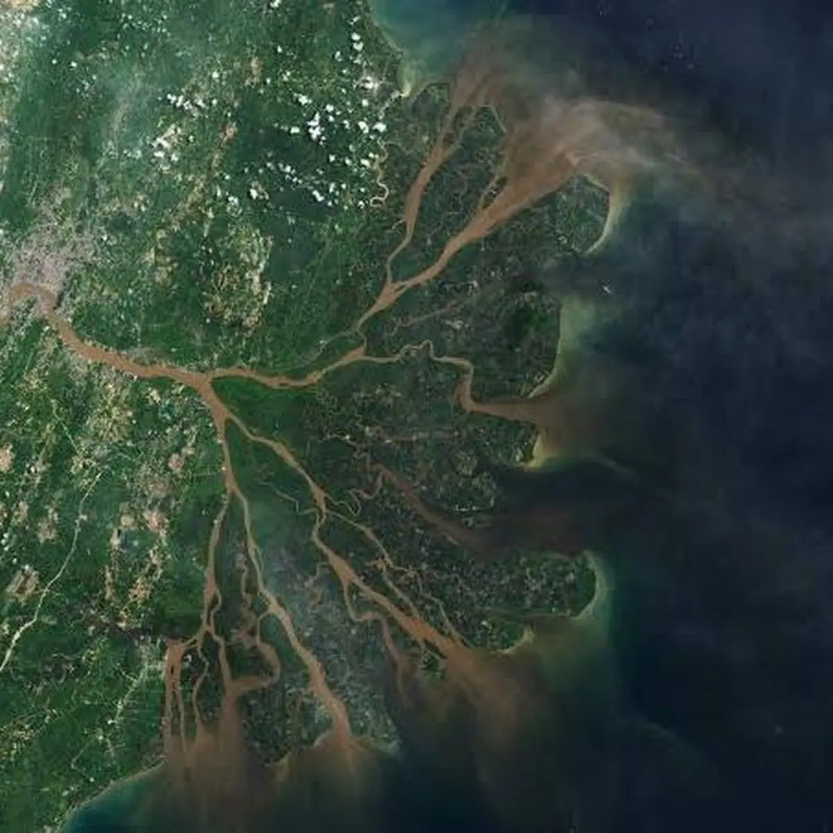 BPN Kukar Libatkan KemenLHK dalam Telaah Sertifikat Tanah Tumpang Tindih di Delta Mahakam