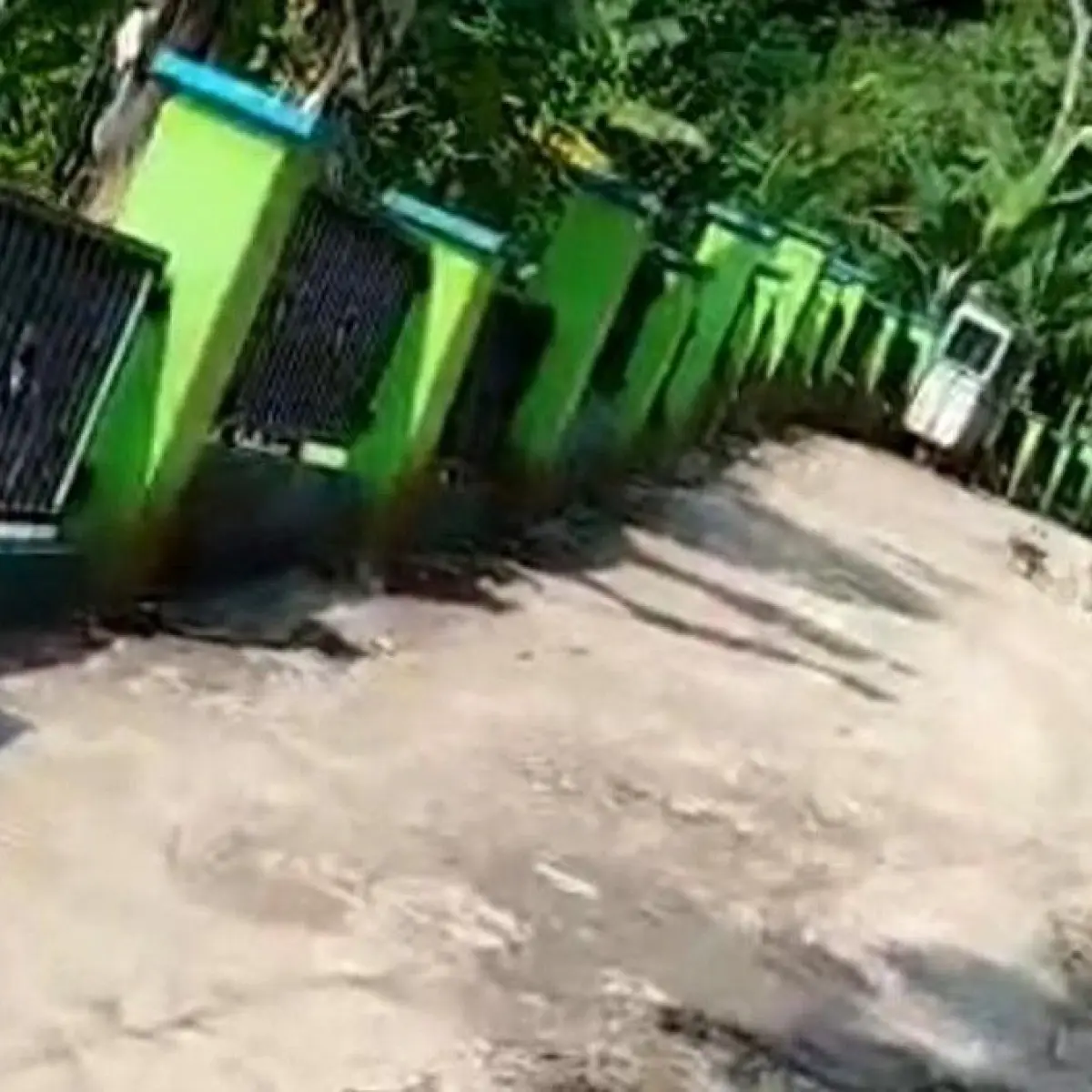 Kawanan Primata Masif Ganggu Warga Panawangan Ciamis, Desa Terapkan Strategi Tradisional Penghalau