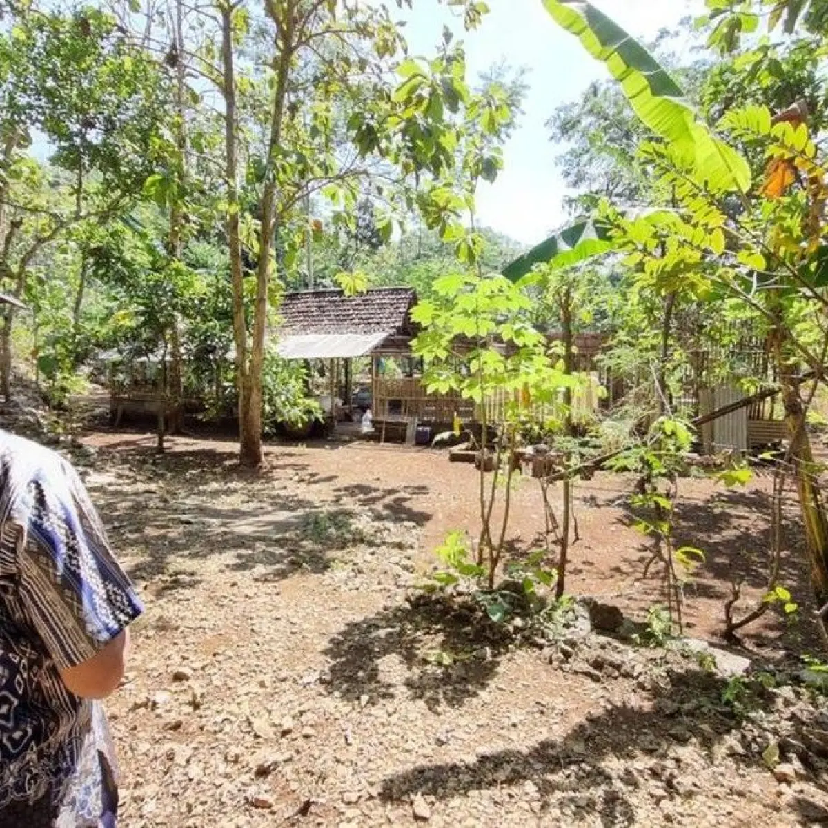 Misteri Desa Mati: Padukuhan Sari di Gunungkidul Terhapus dari Peta Administrasi Akibat Migrasi Penduduk
