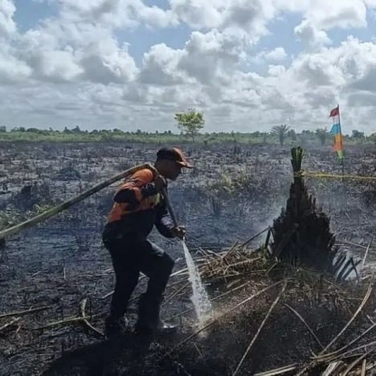 BPBD Kotim Gerak Cepat Tangani Kebakaran Lahan Gambut Seluas 1 Hektare di Baamang