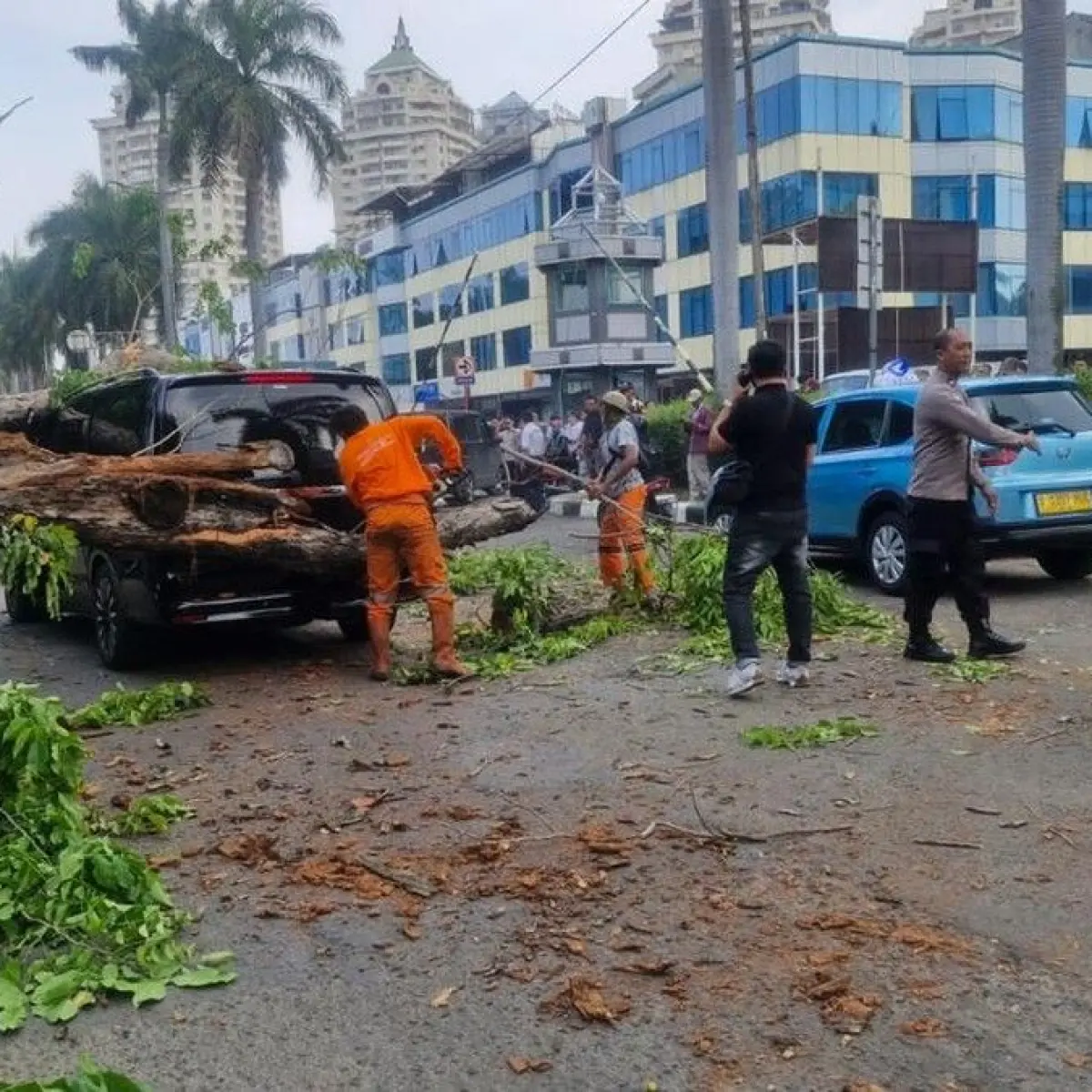 Angin Kencang di Kelapa Gading Tumbangkan Pohon, Dua Mobil Terjepit