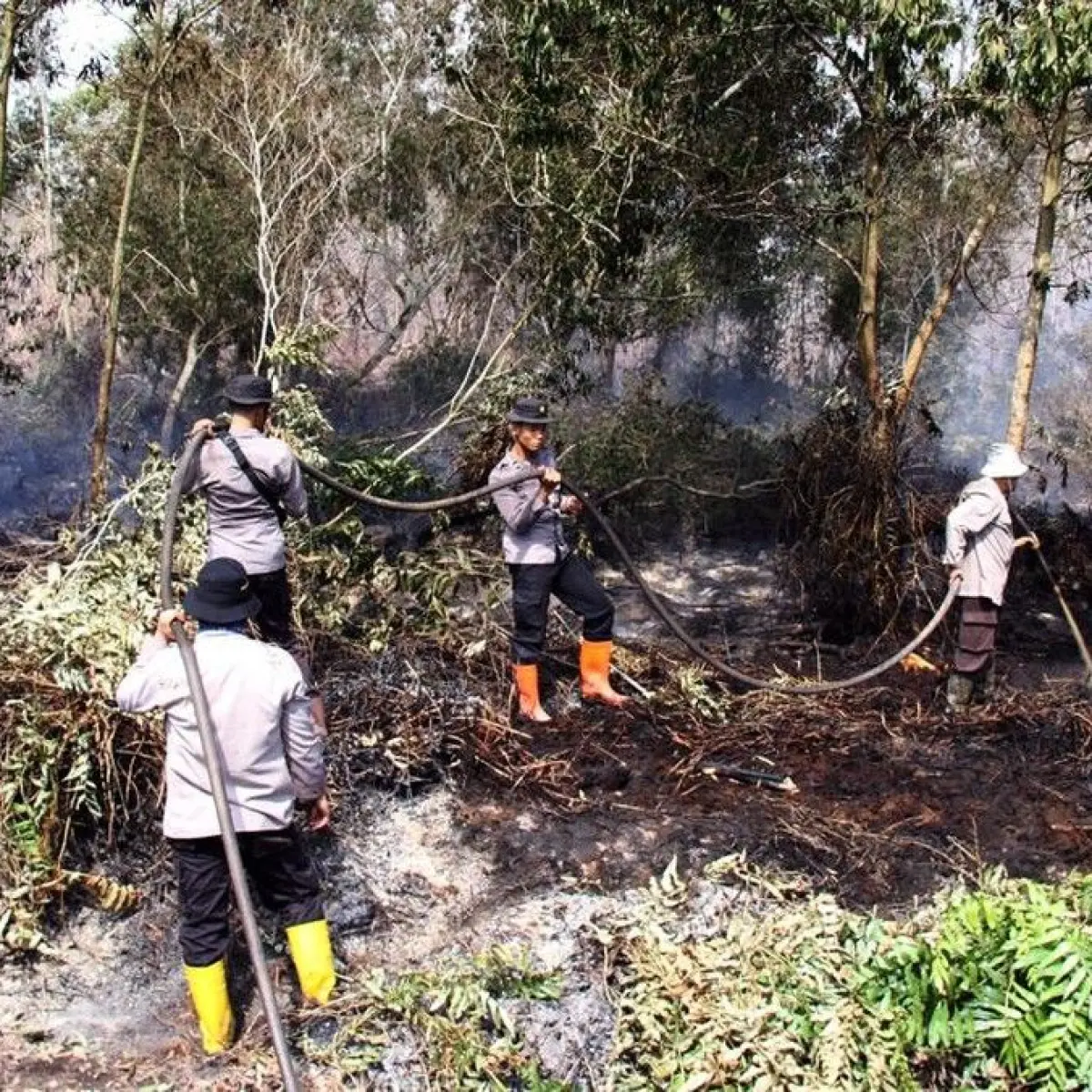 BMKG Waspadai Peningkatan Hotspot di Kalteng, Potensi Kebakaran Hutan dan Lahan Meningkat