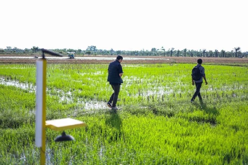 Kinerja Moncer! Bank Tanah Catat Pertumbuhan Aset Eksplosif Menjelang Akhir 2025