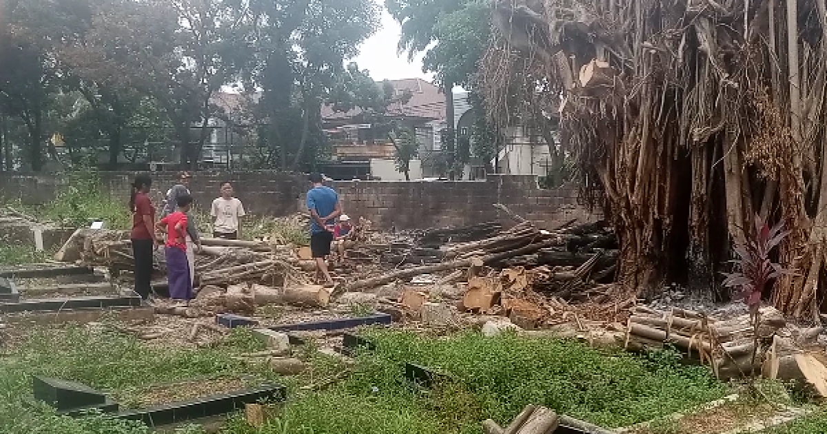 Nisan Makam Terancam Amblas Pasca Penebangan Beringin Tua di TPU Pondok Aren