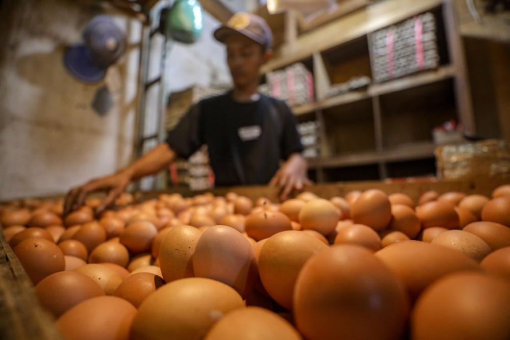 HKTI Dorong Pemerintah Maksimalkan Porsi Ayam dan Telur untuk Sukseskan Gizi Gratis Nasional