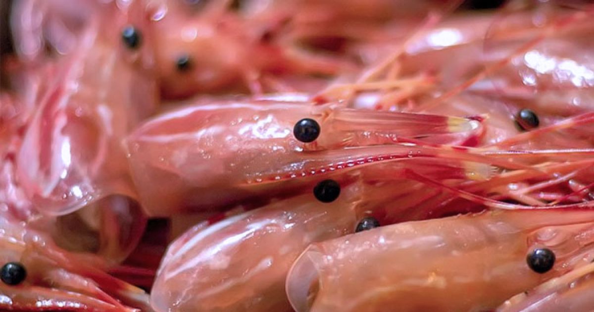 Kaya Nutrisi, Ini 5 Manfaat Kepala Udang dan Risiko yang Perlu Diwaspadai