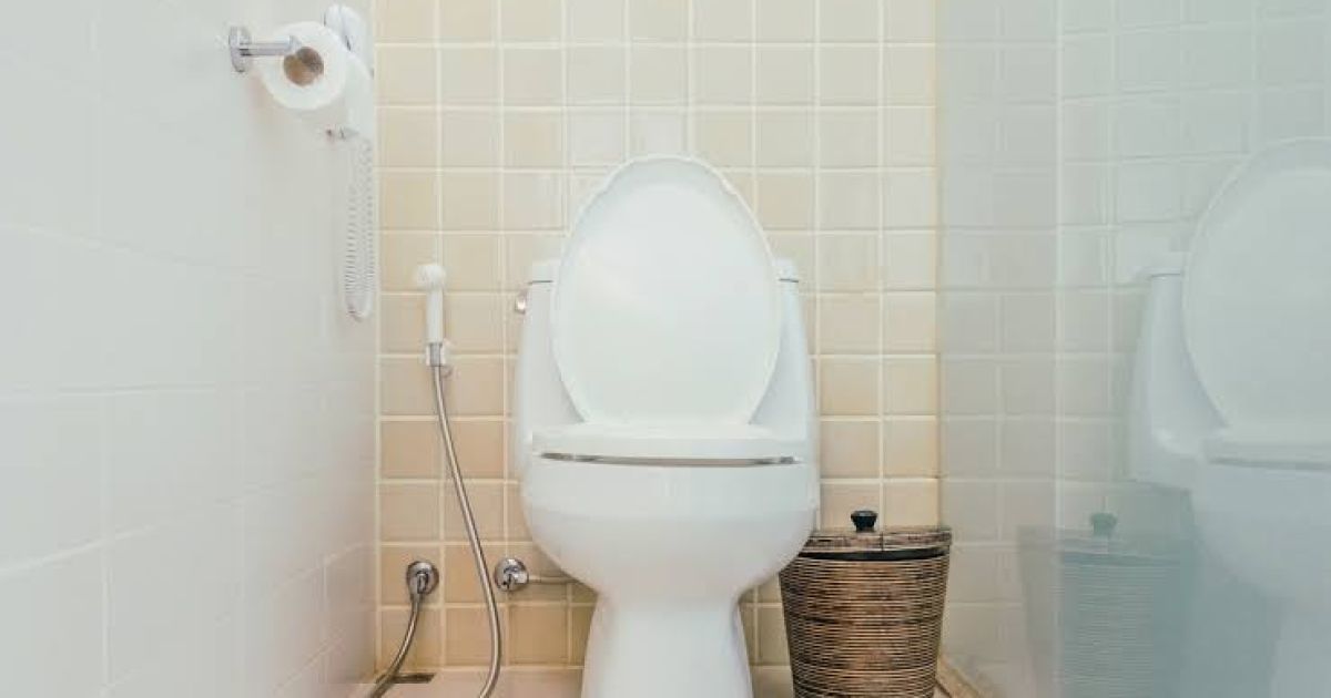 Toilet Jongkok atau Toilet Duduk, Mana yang Lebih Baik untuk Kesehatan?