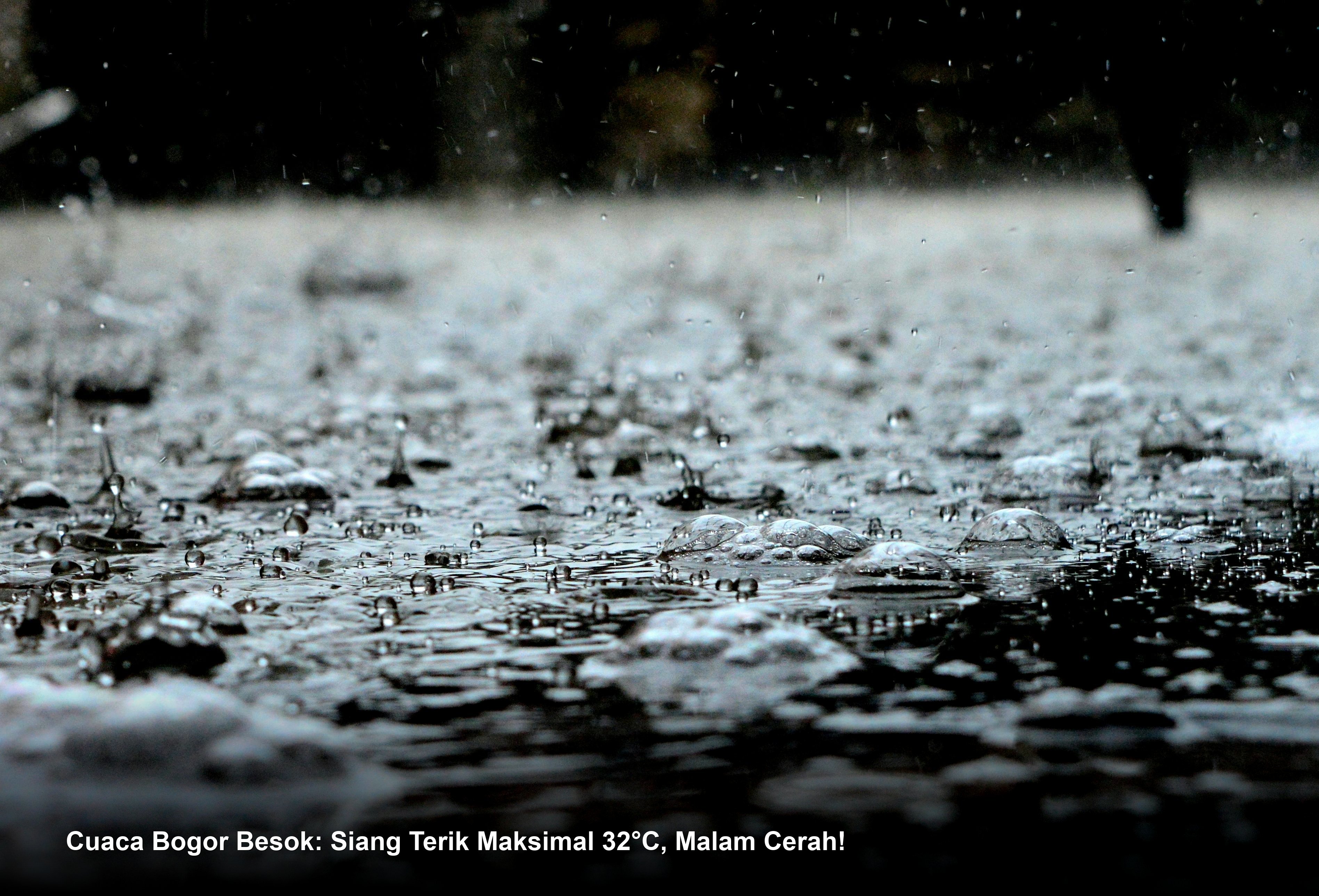 Cuaca Bogor Besok: Siang Terik Maksimal 32°C, Malam Cerah!