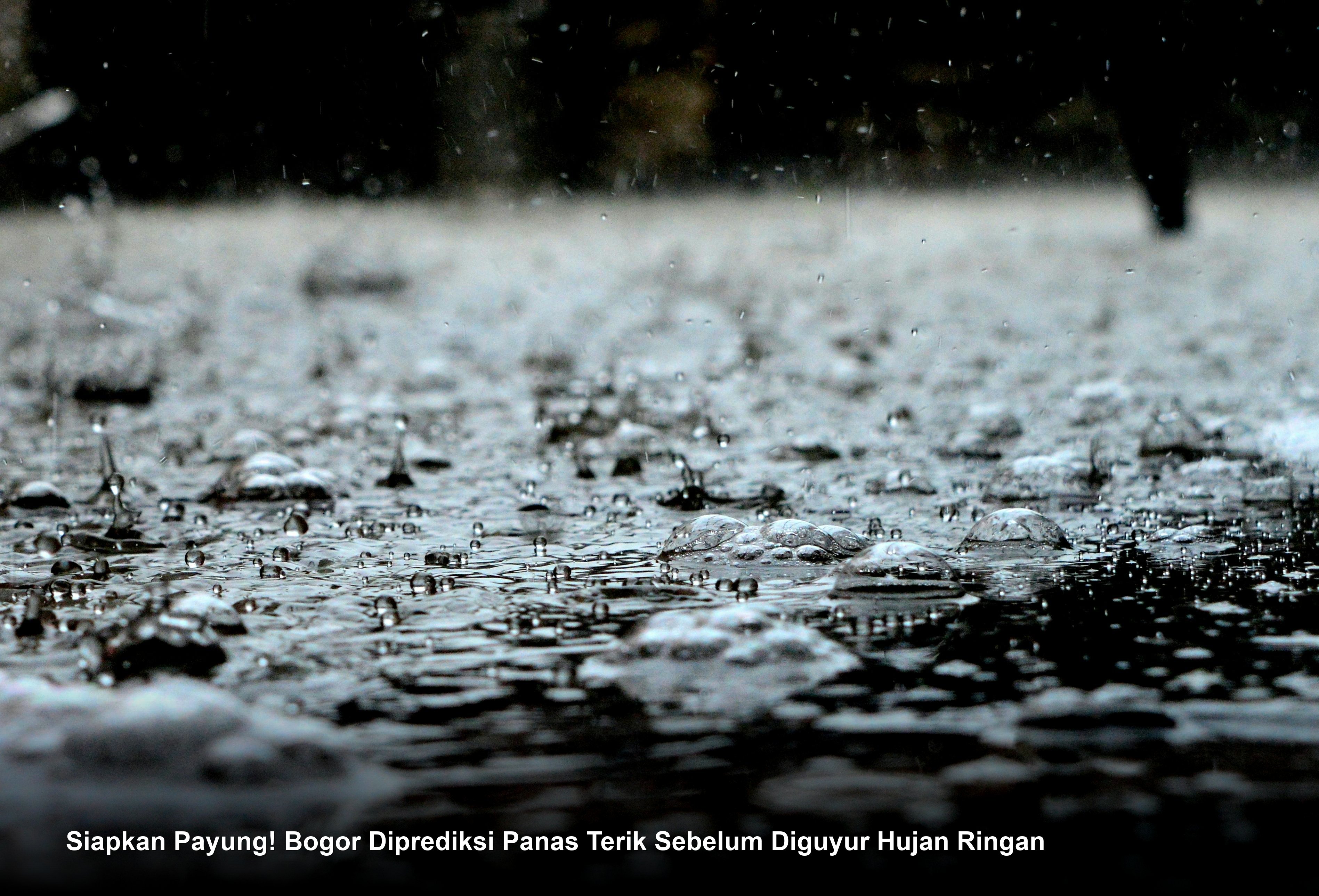 Siapkan Payung! Bogor Diprediksi Panas Terik Sebelum Diguyur Hujan Ringan