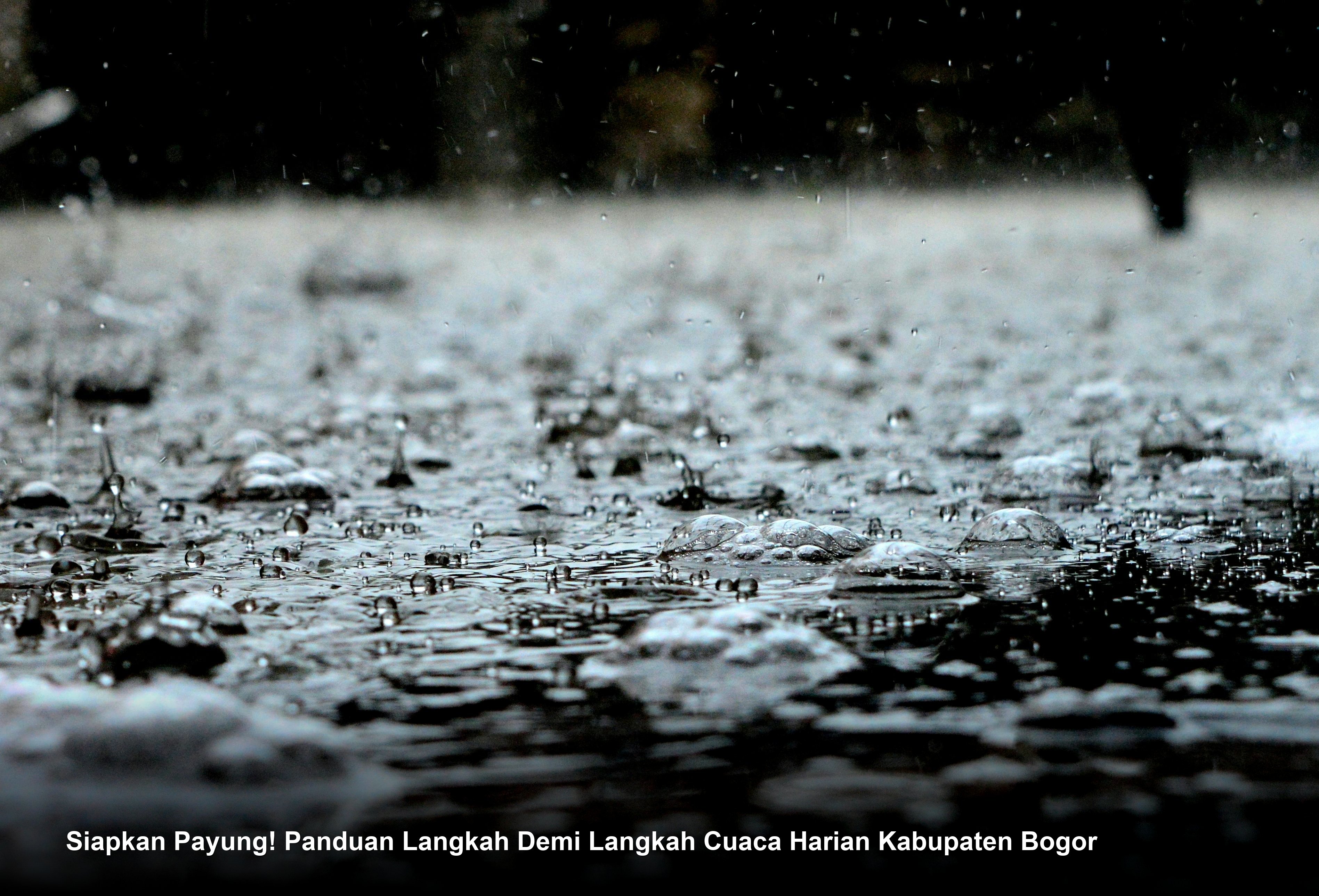 Siapkan Payung! Panduan Langkah Demi Langkah Cuaca Harian Kabupaten Bogor