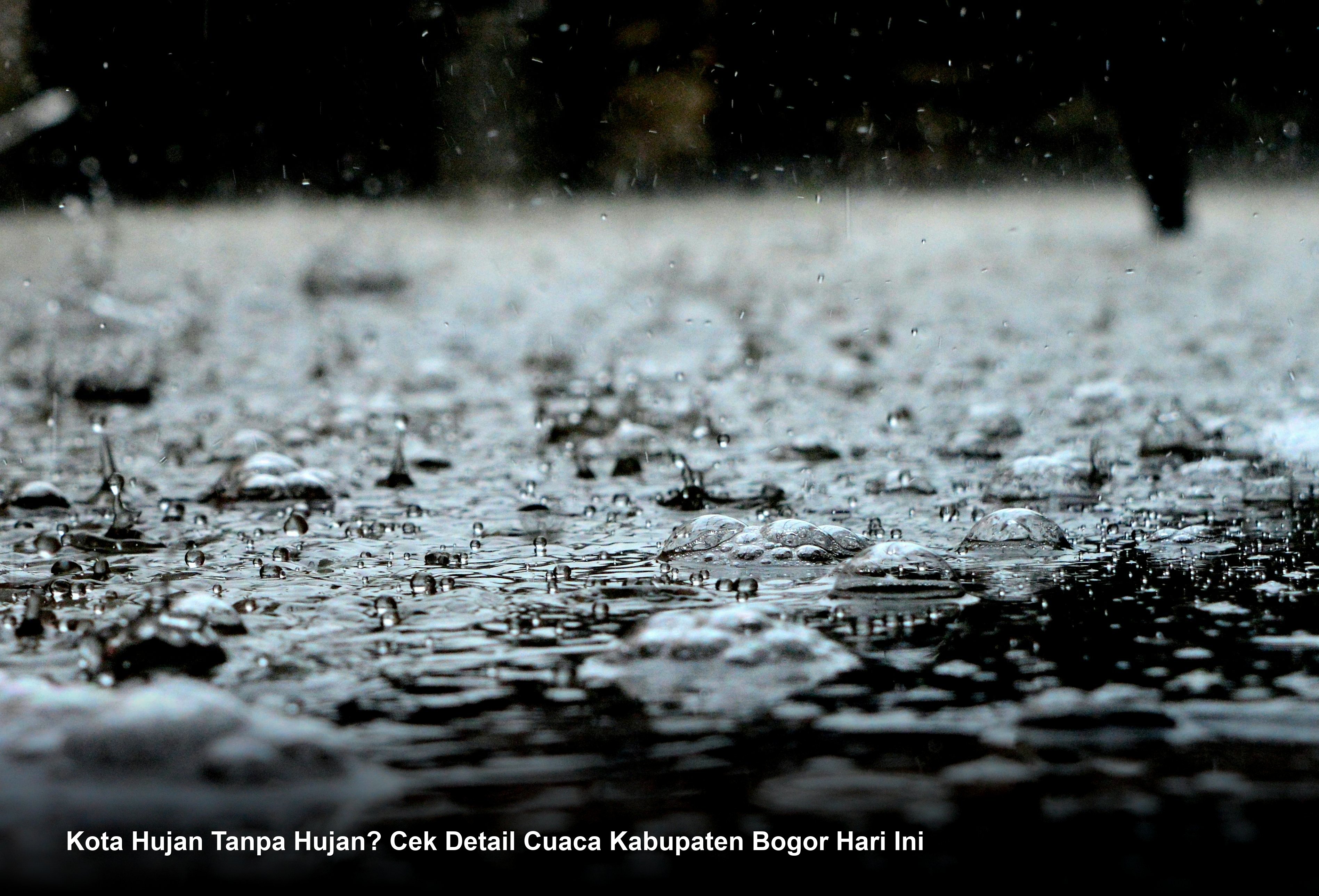 Kota Hujan Tanpa Hujan? Cek Detail Cuaca Kabupaten Bogor Hari Ini