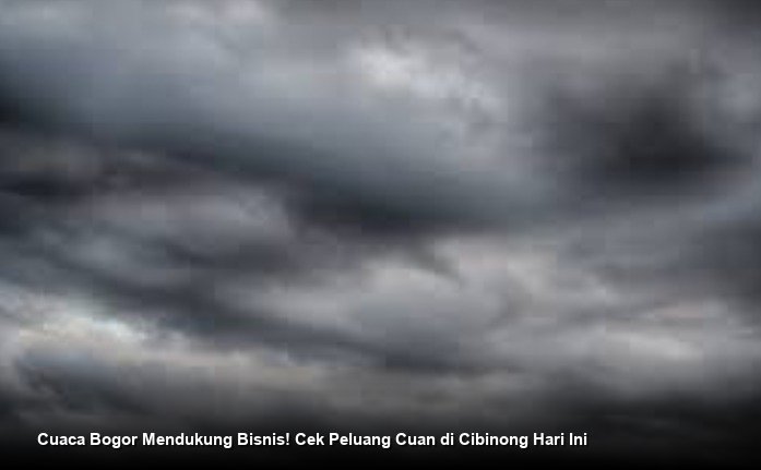 Cuaca Bogor Mendukung Bisnis! Cek Peluang Cuan di Cibinong Hari Ini