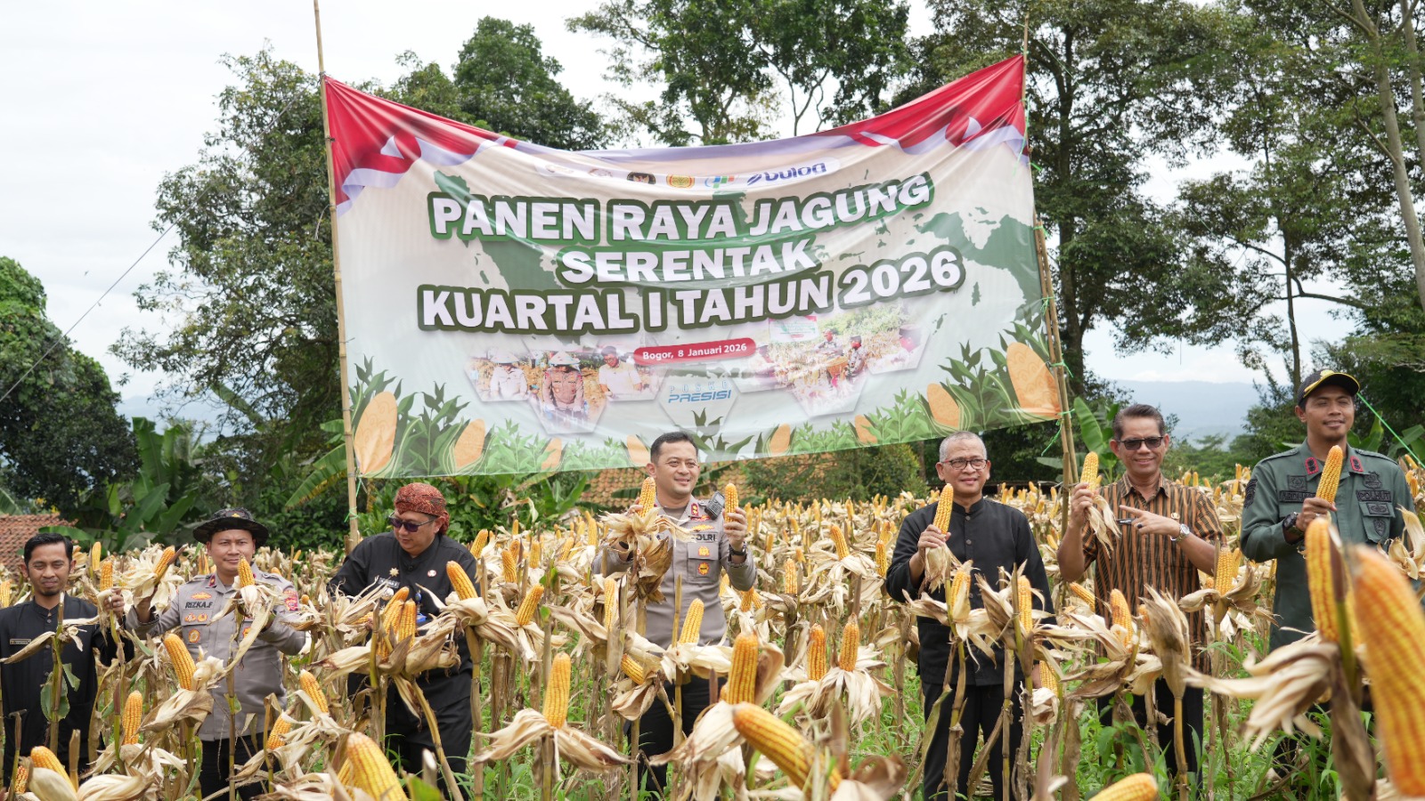Dukung Ketahanan Pangan Nasional, Pemkab Bogor Ikut Panen Raya Jagung Serentak 2026