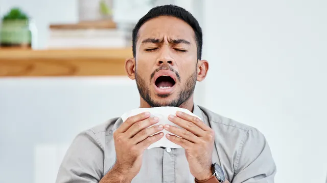 Kenapa Hidung Sangat Gatal tapi Tidak Bisa Bersin? Ini Penjelasannya
