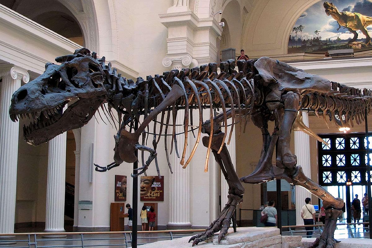 9 Museum di Bogor yang Wajib Dikunjungi, Wisata Edukasi Seru di Kota Hujan