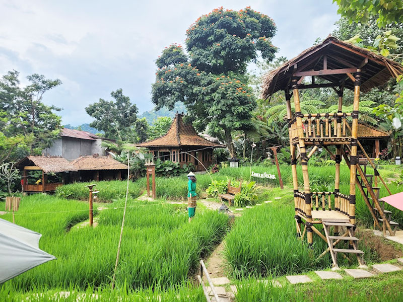 Butuh Healing? 7 Hidden Gem di Sentul yang Wajib Kamu Kunjungi