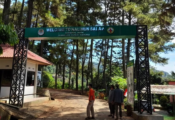 4 Jalur Pendakian Gunung Salak, dari Terfavorit sampai Paling Menantang