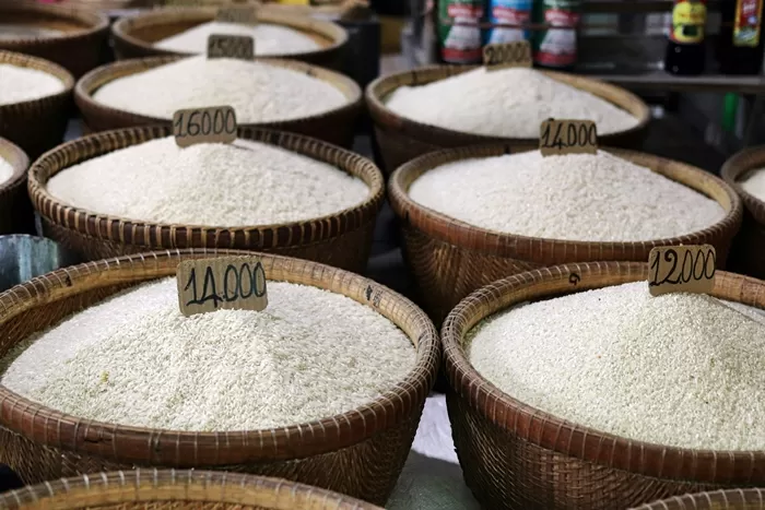 Jangan Sampai Tertipu, 5 Tips Memilih Beras dengan Kualitas Bagus