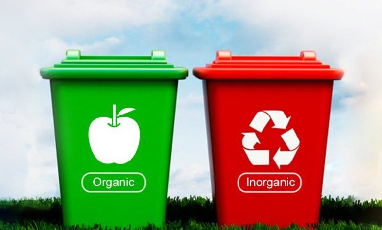Sampah Organik vs Anorganik: Pengertian, Jenis, dan Contoh Lengkap