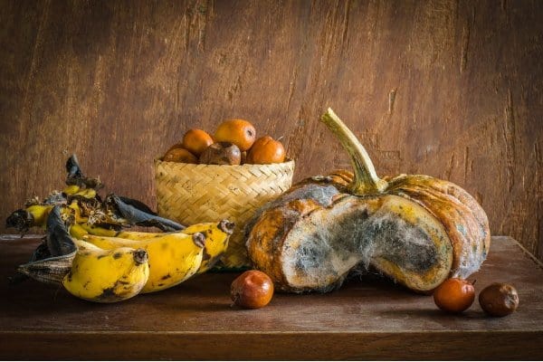 Keracunan Makanan Basi: Gejala, Pertolongan Pertama, dan Cara Mencegahnya