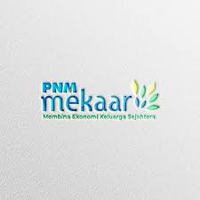 Modal Usaha Mudah untuk Perempuan Pelaku UMKM Lewat PNM Mekaar