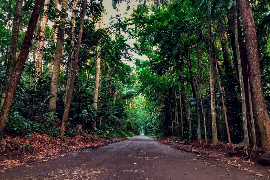 Berani Berkunjung? Inilah 7 Tempat Paling Mistis di Bogor