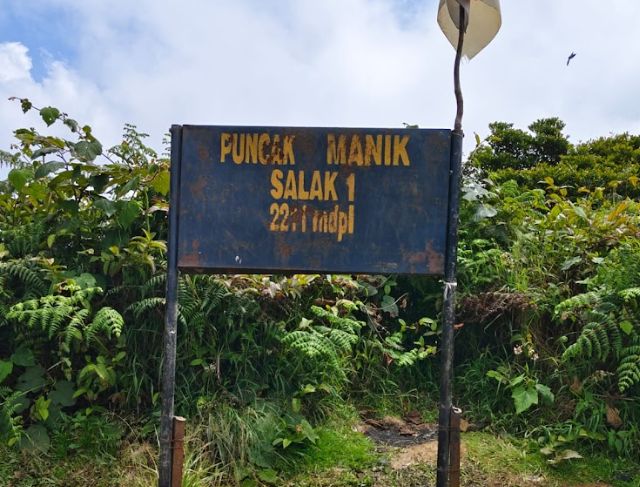 Eksplorasi Puncak Manik: Rute, Medan, dan Pesona Alam Gunung Salak