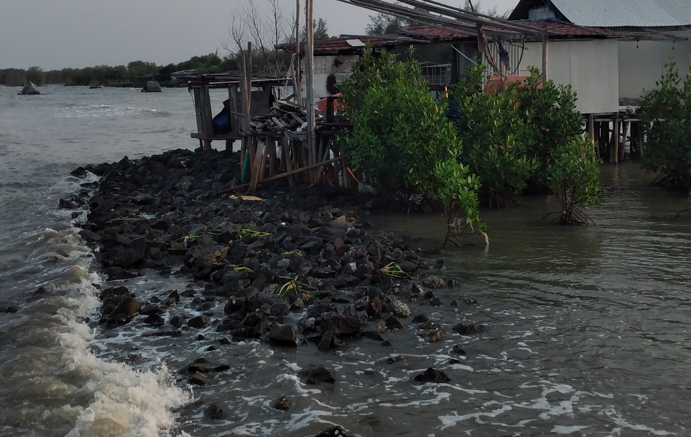 Walhi Jawa Barat Soroti Pelepasan Hutan Lindung untuk Revitalisasi Tambak di Pesisir Jabar