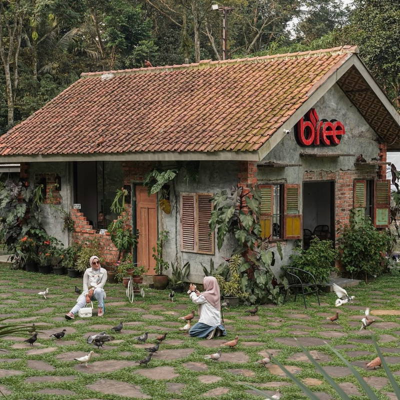 5 Cafe Unik di Bogor 2025 Spot Liburan Alternatif Selain Puncak