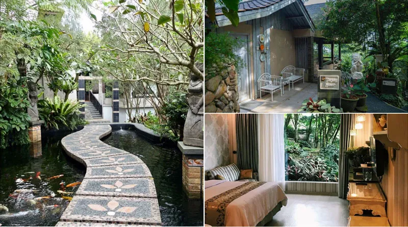 5 Hotel Tengah Hutan di Bogor, Nikmati Keindahan Hutan dengan Udara Sejuk