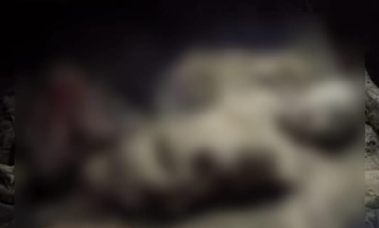 Sempat Dikira Boneka,  Mayat Perempuan di Desa Ciherang Pondok ditemukan Tewas Telanjang