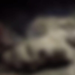 Sempat Dikira Boneka,  Mayat Perempuan di Desa Ciherang Pondok ditemukan Tewas Telanjang