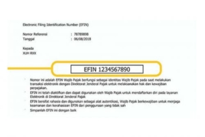 4 Cara Membuat EFIN Secara Online, Praktis dan Mengurangi Mobilitas