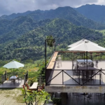 Rekomendasi Cafe di Bogor View Bagus Cocok untuk Refreshing
