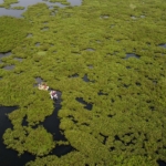 Setu Gunung Putri Dipenuhi Eceng Gondok