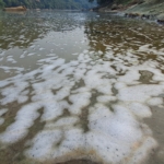 Sungai Cisadane Berbuih Putih, DLH Ambil Sampel Air untuk Uji B3