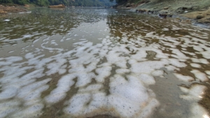 Sungai Cisadane Berbuih Putih, DLH Ambil Sampel Air untuk Uji B3
