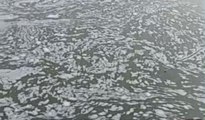 Warga Rancabungur Keluhkan Buih Putih di Aliran Sungai Cisadane
