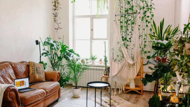 10 Cara Alami Menghilangkan Bau Tak Sedap di Ruangan agar Lebih Segar