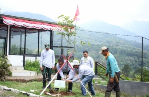 Rayakan HUT RI ke-80, Gerakan Cinta Prabowo Tanam Ratusan Pohon di Puncak