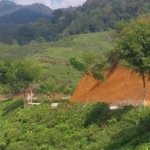 Ratusan Pesepeda Taklukkan Jalur Malasari, Disuguhi Panorama Kebun Teh dan Gunung Halimun Salak