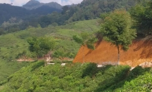 Ratusan Pesepeda Taklukkan Jalur Malasari, Disuguhi Panorama Kebun Teh dan Gunung Halimun Salak