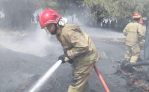 Gudang Rongsok Bojonggede Terbakar, Ini Penyebabnya !