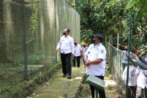 Bupati Bogor Tekankan Pentingnya Pelestarian Elang Jawa, Aset Dunia dari Cigombong